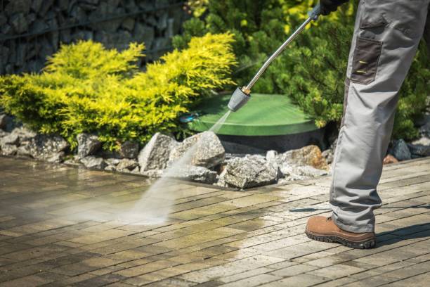 Best Solar Panel Cleaning  in Wabasha, MN