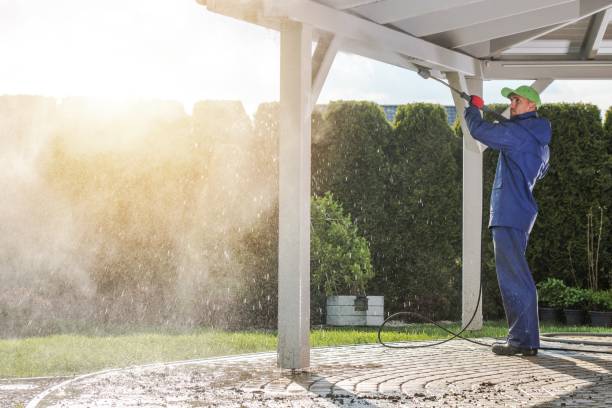 Best Roof Washing  in Wabasha, MN