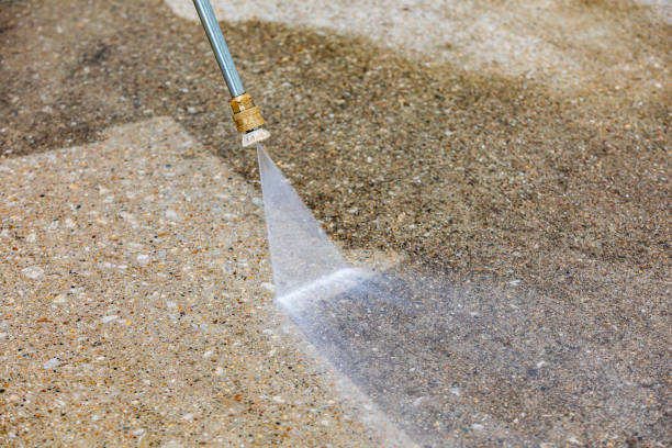 Best Pre-Holiday Cleaning  in Wabasha, MN