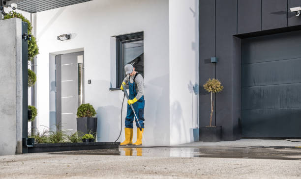 Best Fleet Vehicle Washing  in Wabasha, MN